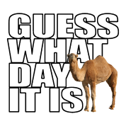 Charming Hump Day ClipartClip Art Of 8621 Best Camel Guess, Hump Day PNG HD - Free PNG