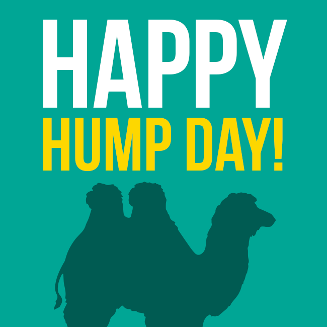Happy Hump Day - Hump Day, Transparent background PNG HD thumbnail