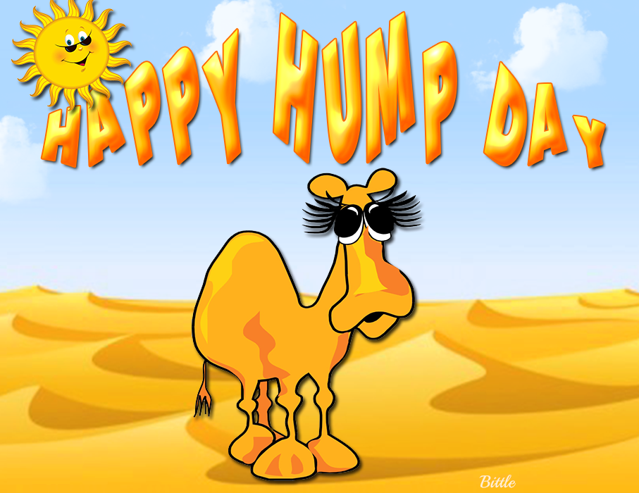 Happy Hump Day Quote With Camel - Hump Day, Transparent background PNG HD thumbnail