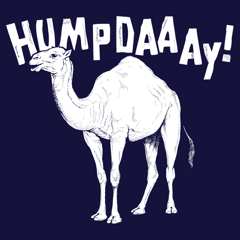 Hump Day, Memes, and Guess: e