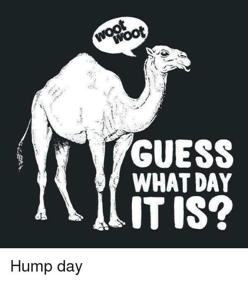 Hump Day, Memes, And Guess: Engbot Guess What Day Itis Hump Day - Hump Day, Transparent background PNG HD thumbnail