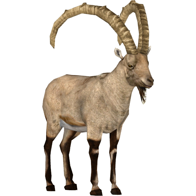 File:Walia ibex illustration 