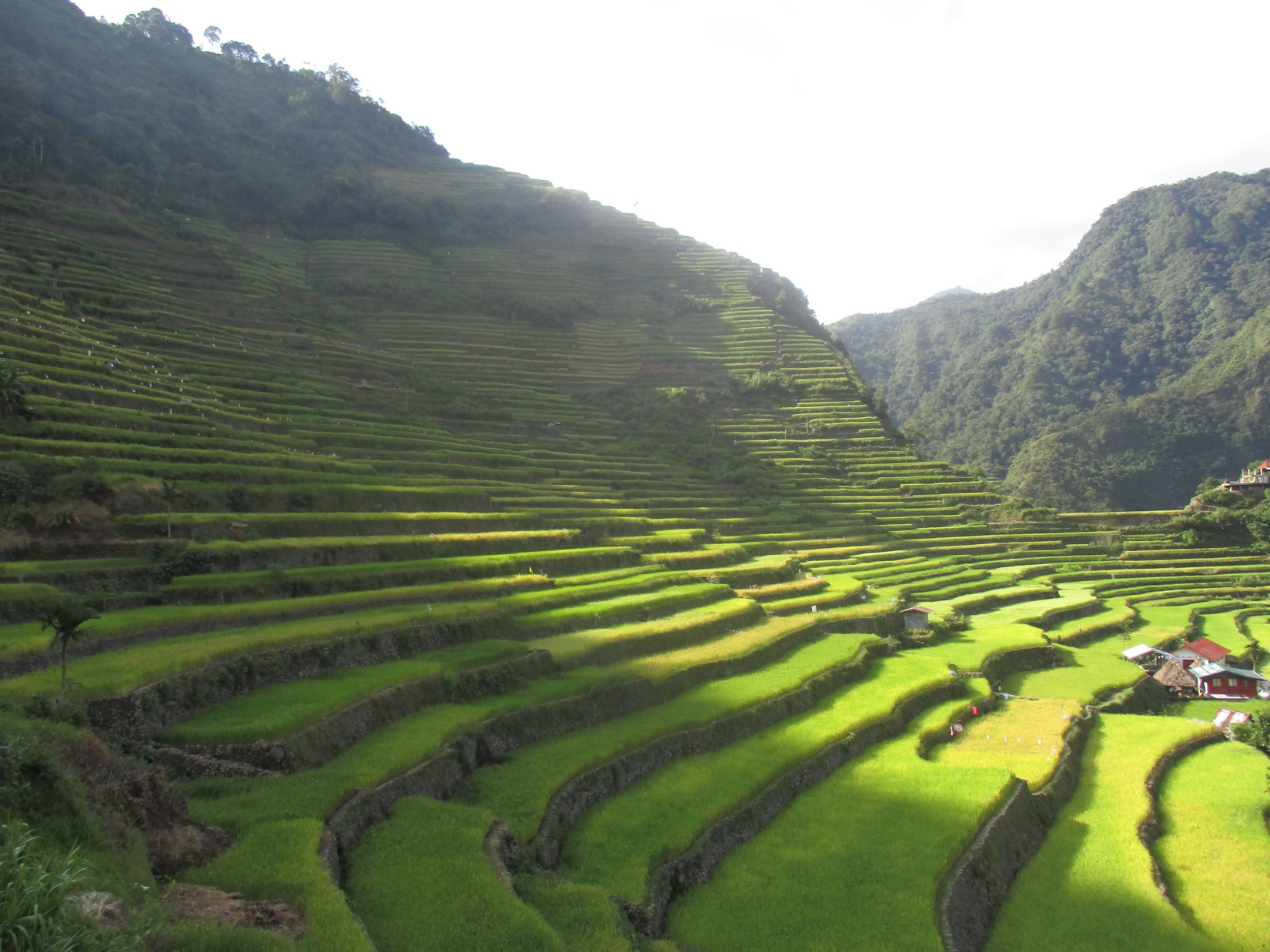 Mid Afternoon At The Unesco World Heritage Batad Rice Terrace Cluster - Ifugao, Transparent background PNG HD thumbnail