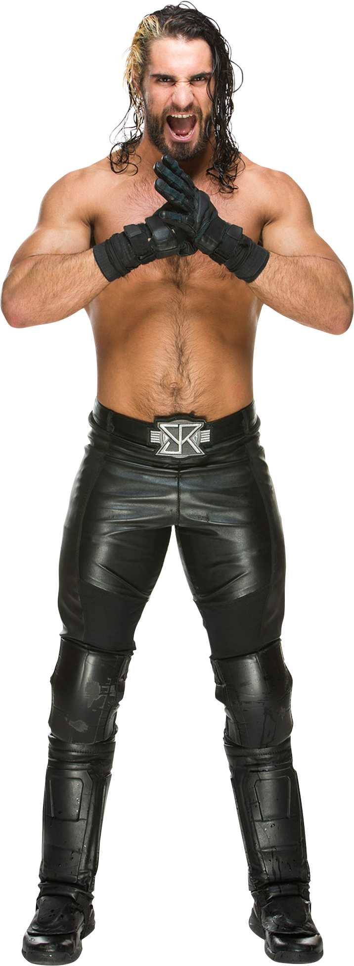 Image   Seth Rollins 2015.png | Pro Wrestling | Fandom Powered By Wikia - Seth Rollins, Transparent background PNG HD thumbnail