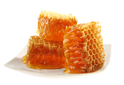 Frischer Honig direkt vom Imk