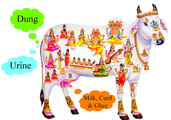 Indian Cow With Krishna Png - To That Supreme Lord, Who Is Always Trying To Satisfy The Senses Of The Cows, And Who Is The Original Person, I Offer My Worship.u201D [Brahma Samhita], Transparent background PNG HD thumbnail