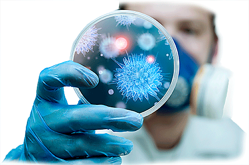 Infectious Disease Png Hdpng.com 500 - Infectious Disease, Transparent background PNG HD thumbnail