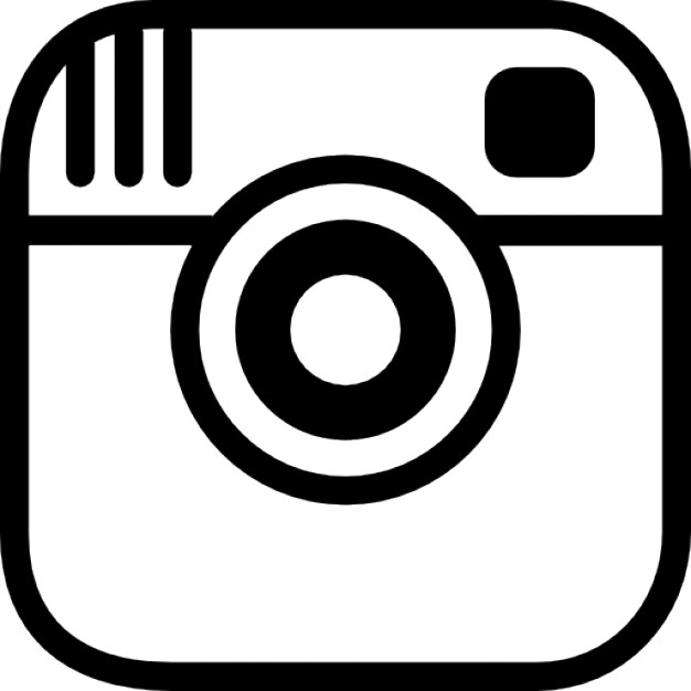 Instagram flat icon circle ve