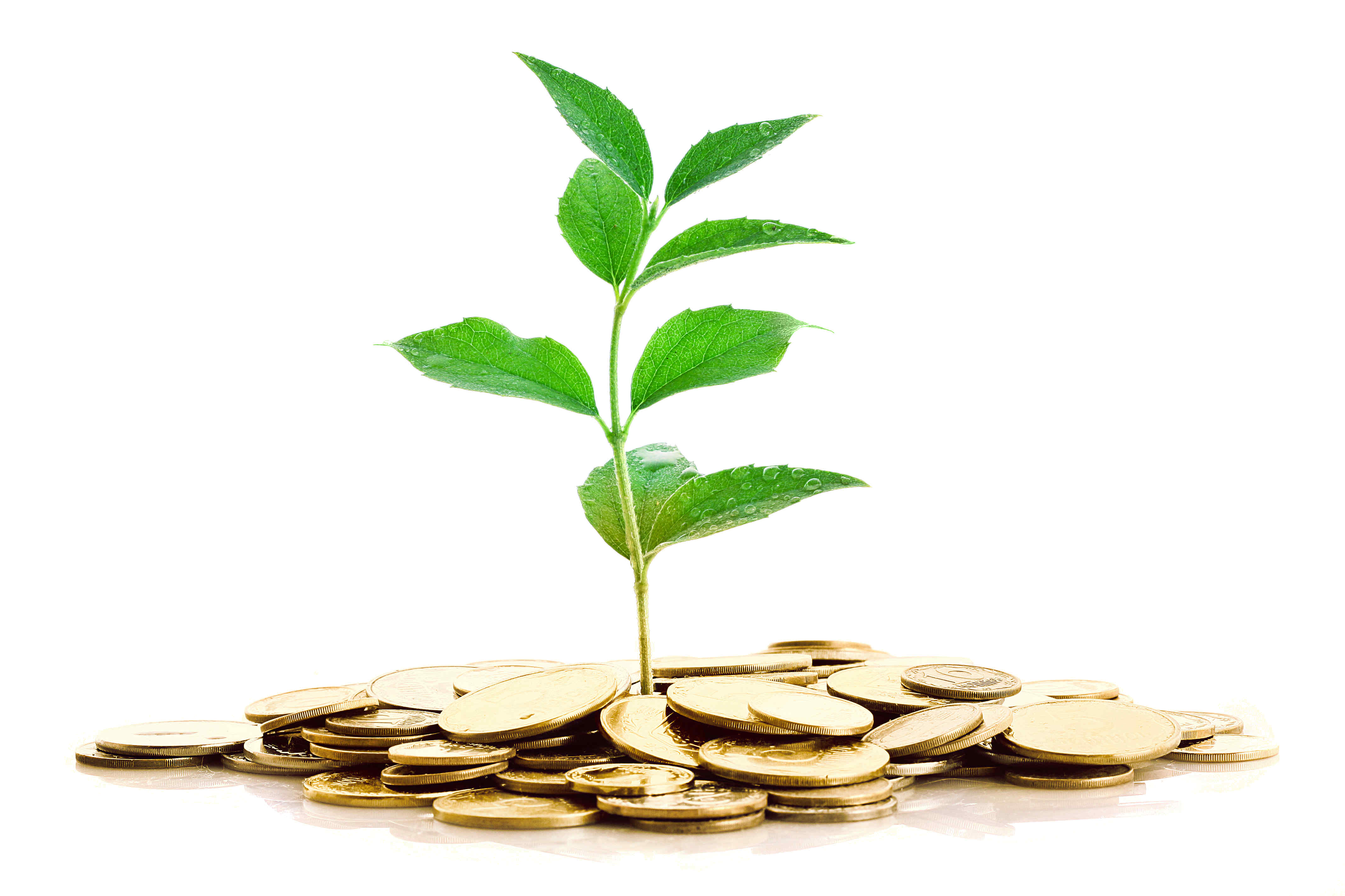 Investing Png Hdpng.com 4272 - Investing, Transparent background PNG HD thumbnail