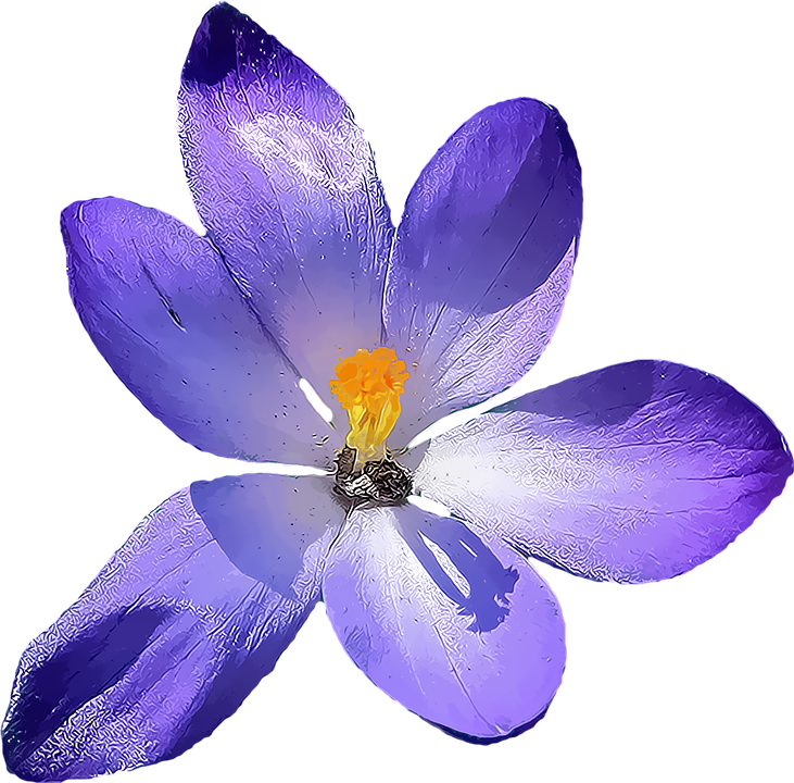 Flower Blue Watercolor painti