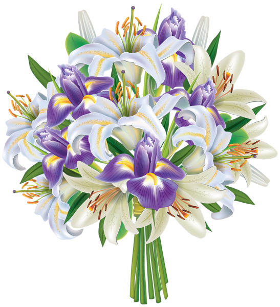 Iris, Tulips, Flowers, Nature
