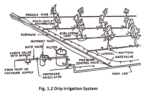 Drip Irrigation System - Irrigation Black And White, Transparent background PNG HD thumbnail