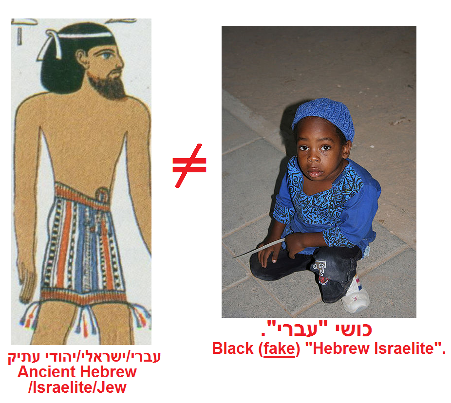 Real Historical Biblical Canaanites Hebrews Israelites Jews Vs Fake African American Imposters Who Define Themselves As Allegedly Black By Skin Color.png - Israelites, Transparent background PNG HD thumbnail