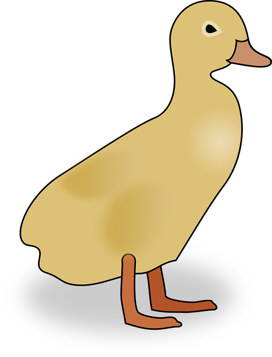 transparent duck clipart
