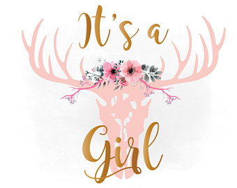 Its A Girl Png Hdpng.com 340 - Its A Girl, Transparent background PNG HD thumbnail