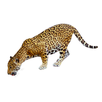 Jaguar F-TYPE PNG HD