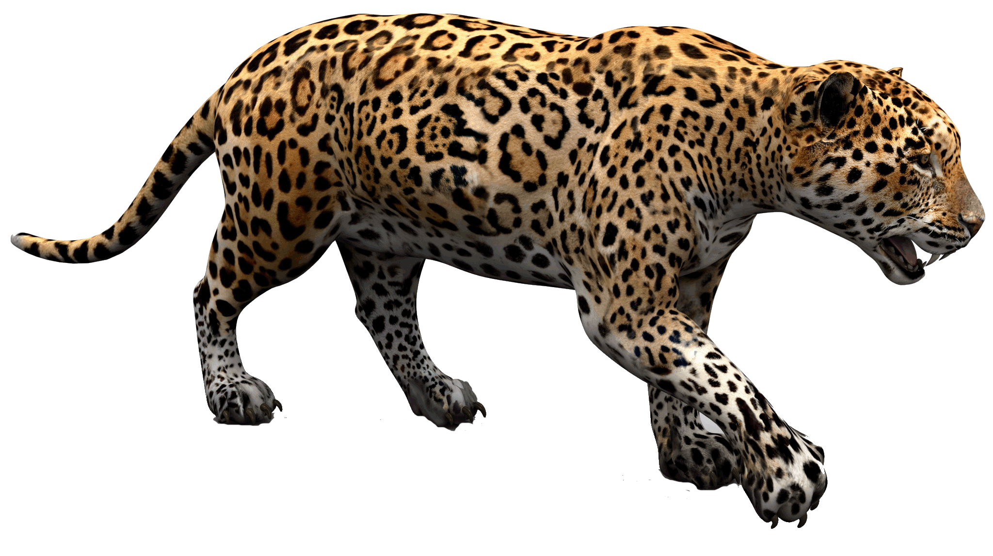 Jaguar logo (2012u2013Present