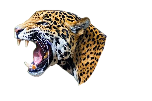 Jaguar Free Png Image PNG Ima