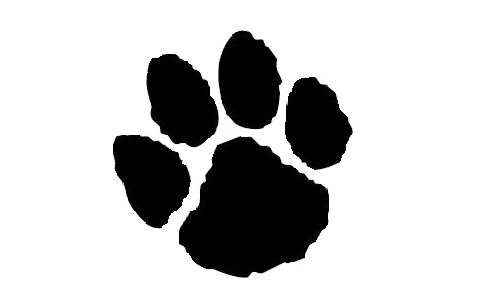 Jaguar Paw Png - Florida Scholastic Hockey League, Transparent background PNG HD thumbnail