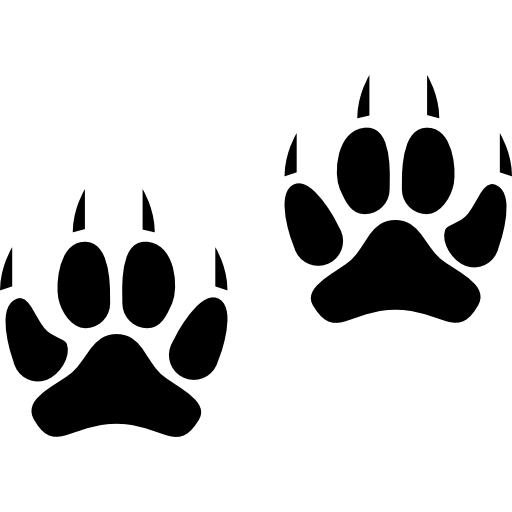 Two Animal Pawprints Free Icon - Jaguar Paw, Transparent background PNG HD thumbnail
