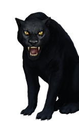 Black Jaguar.png