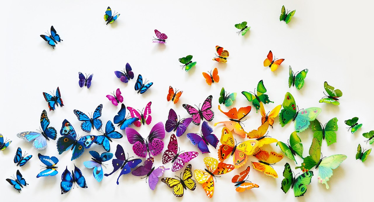 Jane Pluspng.com Is Featuring A Set Of 12 3D Pvc Butterflies On Sale For $5.99. These 3D Butterflies Are A Fun And Whimsical Way To Decorate A Bedroom, Hdpng.com  - Decorate, Transparent background PNG HD thumbnail