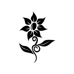 Jasmine Flower Clip Art Black And White - Jasmine Black And White, Transparent background PNG HD thumbnail