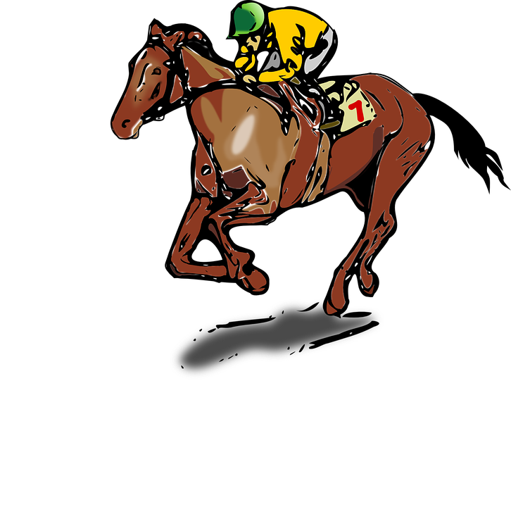 Horse, Jockey, Race, Sports - Jockey, Transparent background PNG HD thumbnail