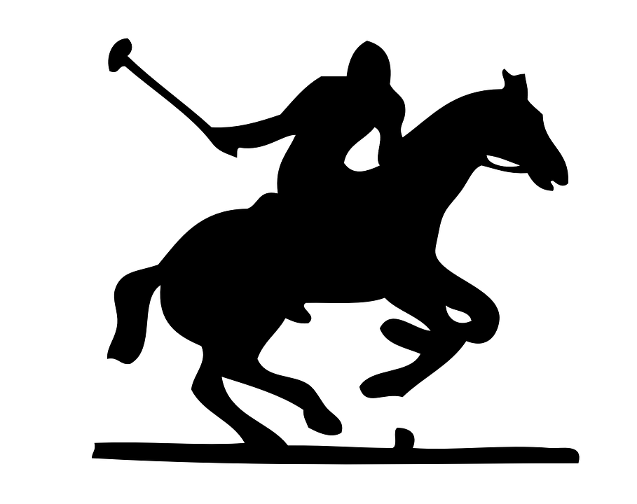 Horse, Polo, Pony, Jockey, Sport, Ball, Hammer - Jockey, Transparent background PNG HD thumbnail