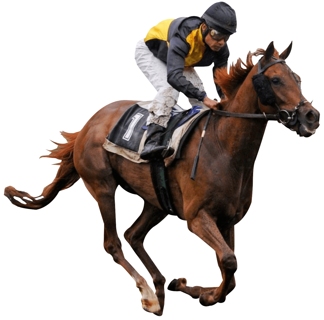 Race Horse - Jockey, Transparent background PNG HD thumbnail