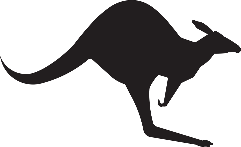 Kangaroo, Animal, Australia, Jump, Silhouette, Black - Jumping Kangaroo, Transparent background PNG HD thumbnail