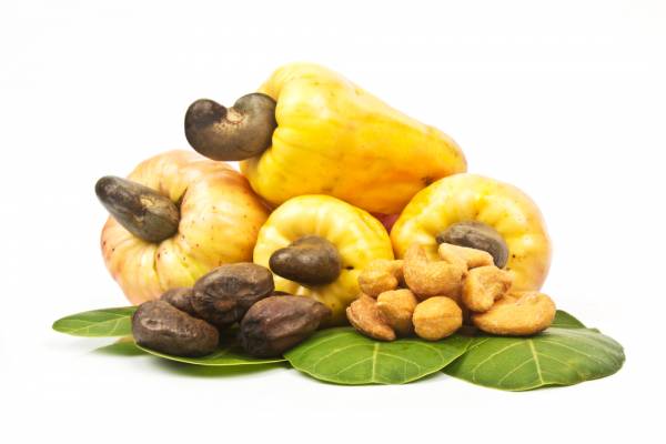 Cashew Apple   Caju. Delicious Fruit, Cashew Juice Is Very Refreshing And The Cashew Nut Is Often Eaten Roasted. | Brazilian Feelings | Pinterest Hdpng.com  - Kasoy, Transparent background PNG HD thumbnail