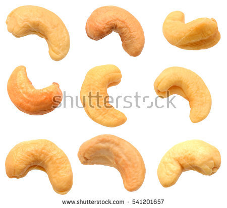 Cashew Nut Isolated On White - Kasoy, Transparent background PNG HD thumbnail