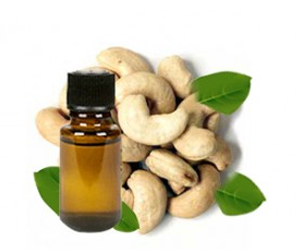 Health Benefits Of Cashew Nut Oil - Kasoy, Transparent background PNG HD thumbnail