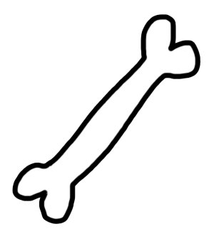 Bone PNG Picture