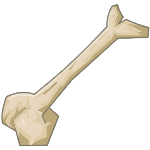 bone. PlusPng.com 