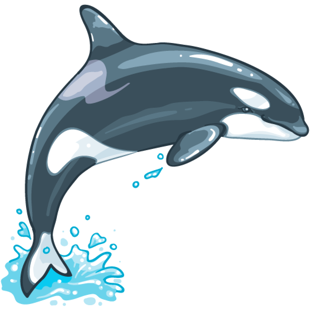 Unique Items : Killer Whale Killer Whale - Killer Whale, Transparent background PNG HD thumbnail
