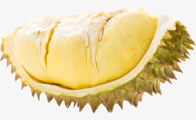 Durian Hd, Fruits, Tropical Fruits, Fruit King Png Image And Clipart - King, Transparent background PNG HD thumbnail