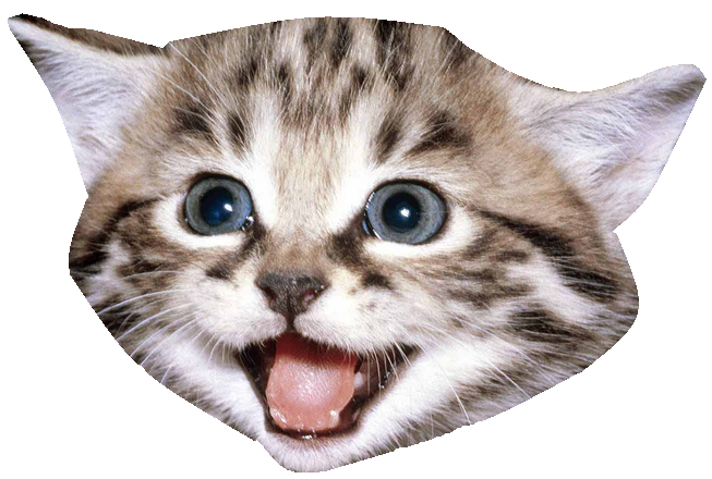 Kitten PNG - FileA Magical Kitten P