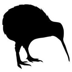 Kiwi (Bird). Http://i.ebayimg Pluspng.com/00/s/oty4Wdk2Oau003D - Kiwi Bird, Transparent background PNG HD thumbnail