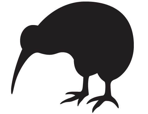 The Kiwi - Kiwi Bird, Transparent background PNG HD thumbnail