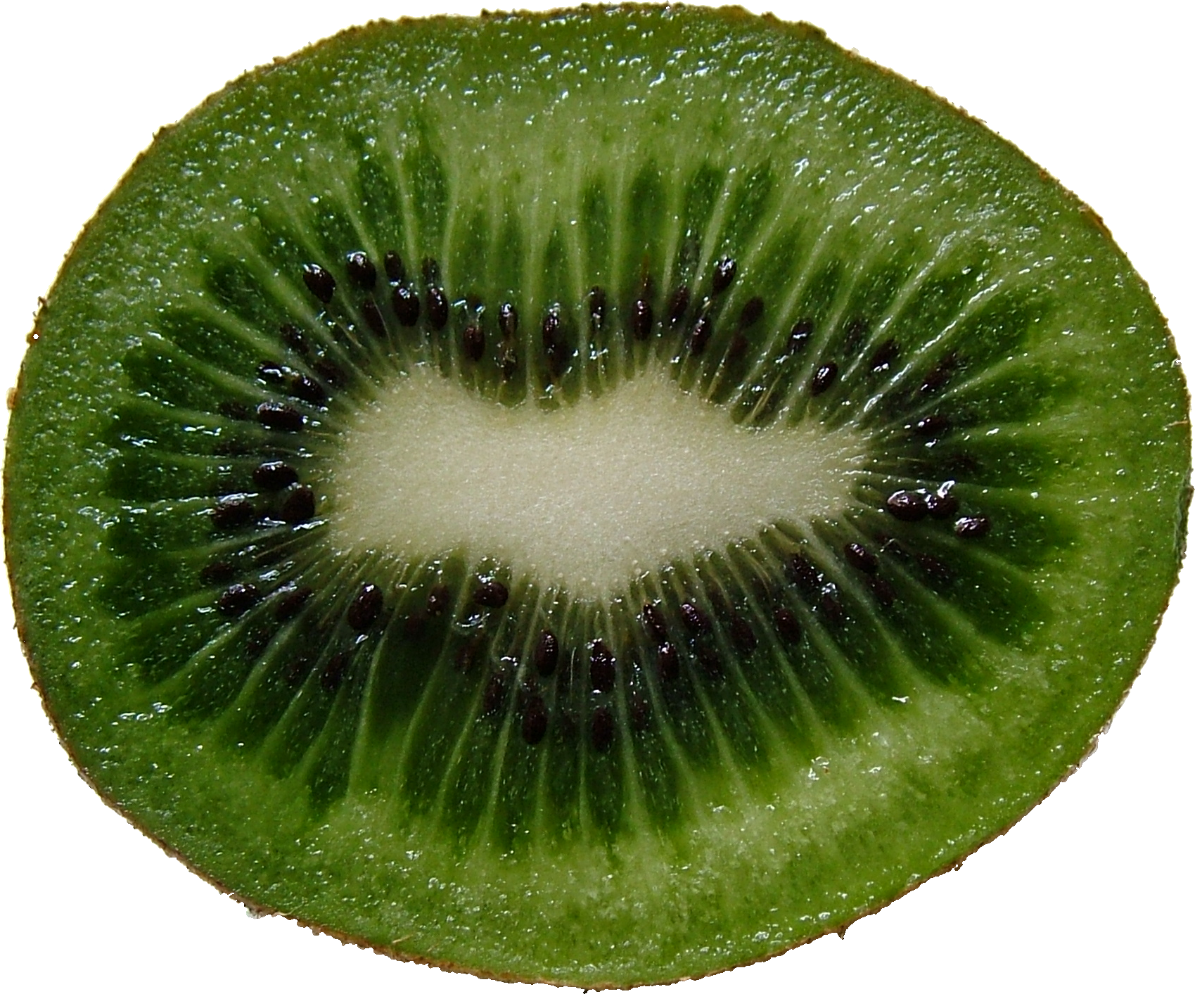 File:macro Image Of Cross Section Of A Kiwifruit.png - Kiwi, Transparent background PNG HD thumbnail