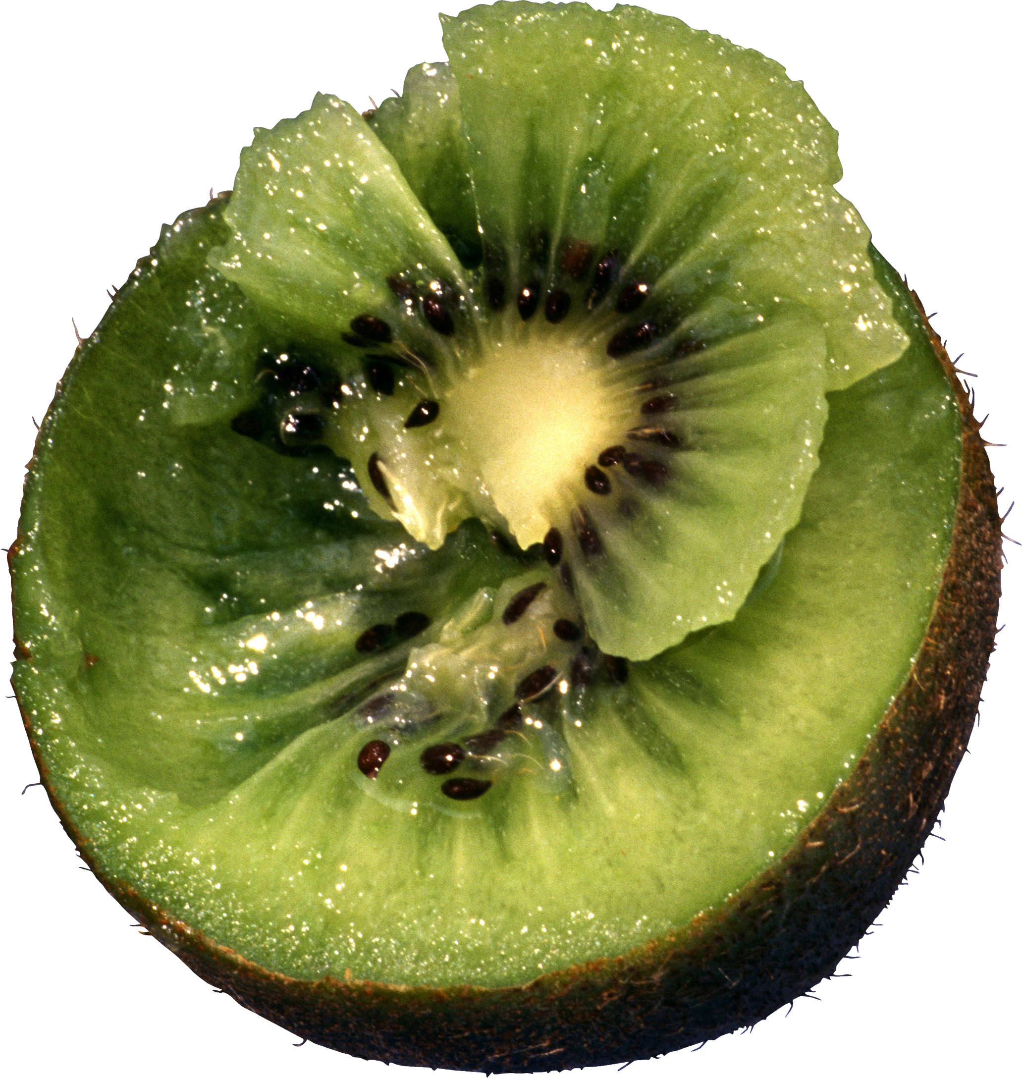 Kiwi Png Image, Free Fruit Kiwi Png Pictures Download - Kiwi, Transparent background PNG HD thumbnail