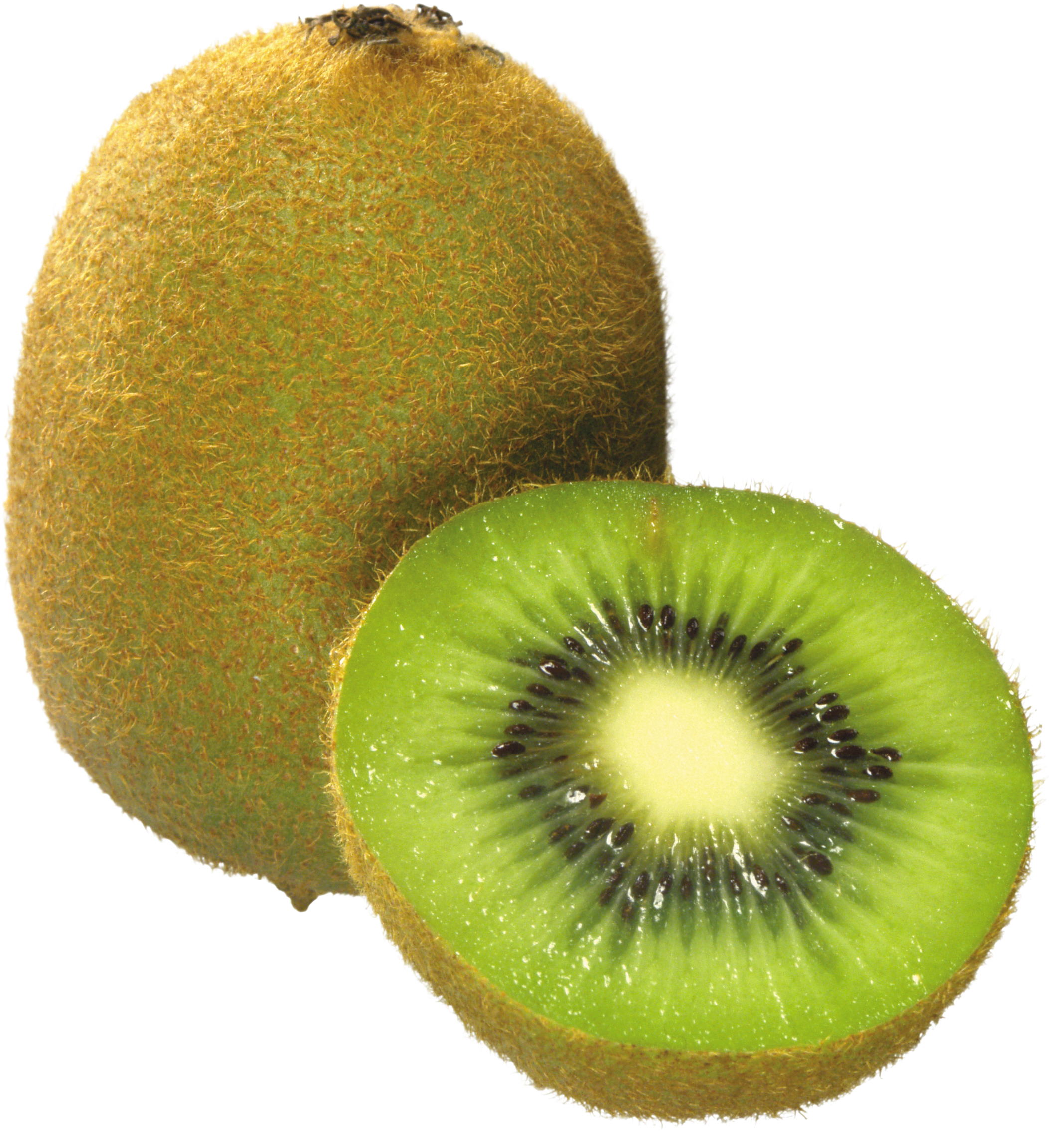 Kiwi Png Image, Free Fruit Kiwi Png Pictures Download - Kiwi, Transparent background PNG HD thumbnail