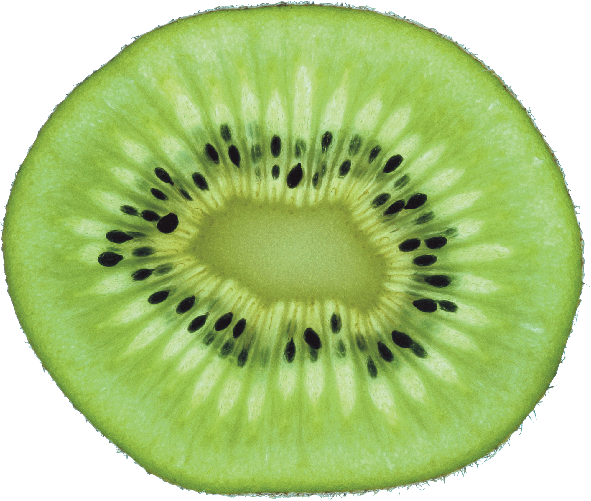 Green Cutted Kiwi Png Image - Kiwi Slice, Transparent background PNG HD thumbnail