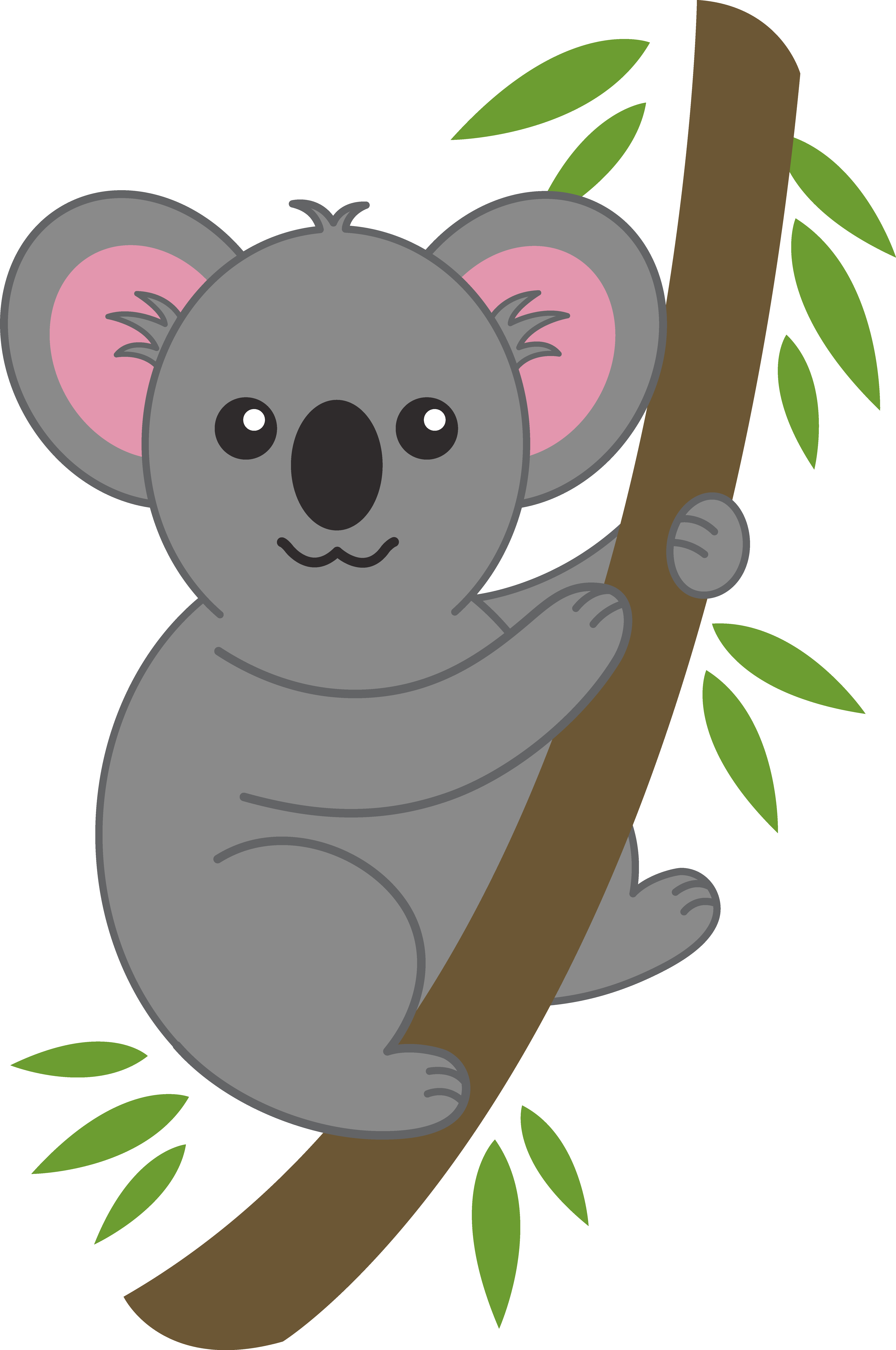 Koala Clip Art 5   Koala Tree Png - Koala, Transparent background PNG HD thumbnail
