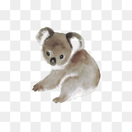 Hand Painted Watercolor Tree Bag Bear Material, Koala Bear, Hand Painted Koala, - Koala, Transparent background PNG HD thumbnail