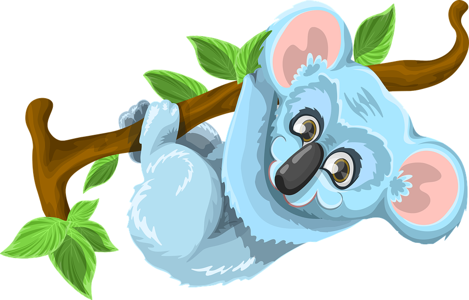 Koala, Animal, Cute, Tree, Stick, Leaf, Green, Blue - Koala Tree, Transparent background PNG HD thumbnail