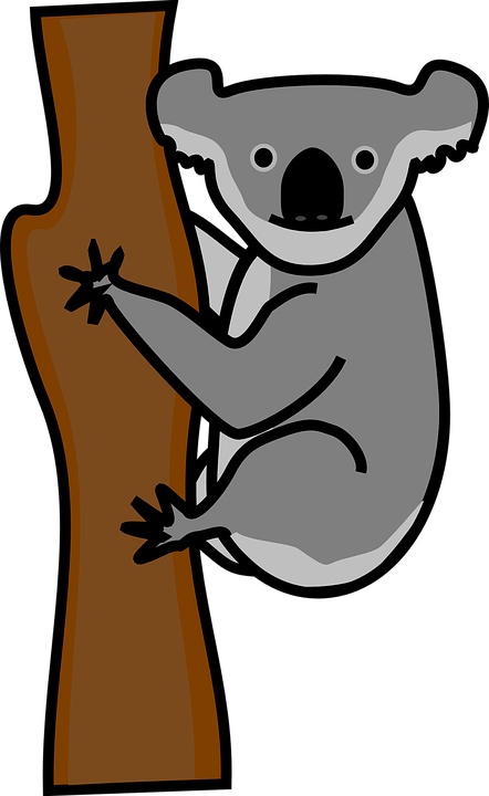 Koala, Bear, Animal, Friendly, Climb - Koala Tree, Transparent background PNG HD thumbnail