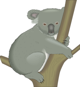 Koala In Tree Clip Art - Koala Tree, Transparent background PNG HD thumbnail